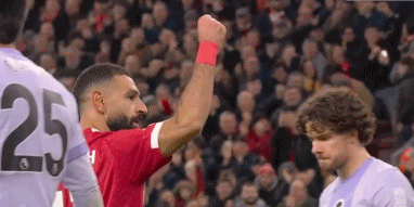 J9-萨拉赫迎来七赛季高光表现，法国队球迷沸腾！的简单介绍